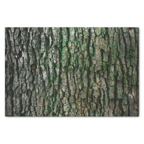 Tree Trunk Wood Bark Tissue Paper