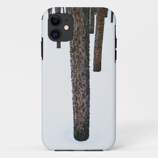 Tree Trunks in Snow Case-Mate iPhone Case (Back)