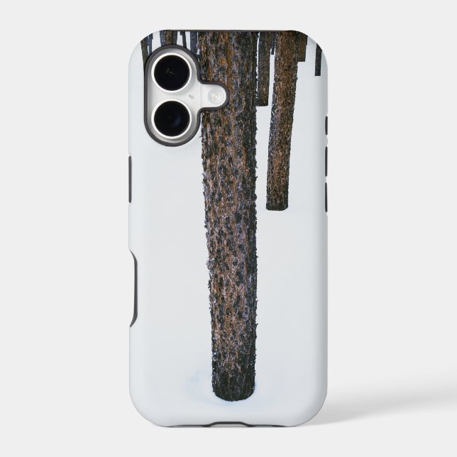 Tree Trunks in Snow Iphone Case (Back)