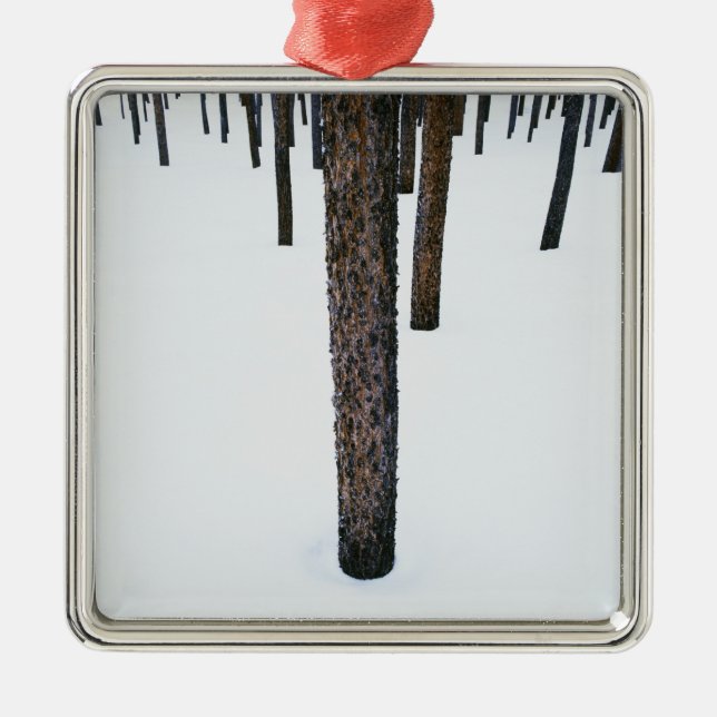 Tree Trunks in Snow Metal Ornament (Front)