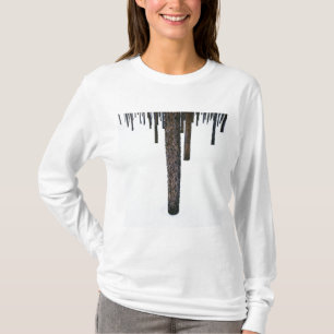 Tree Trunks in Snow T-Shirt