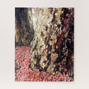 tree trunks jigsaw puzzle