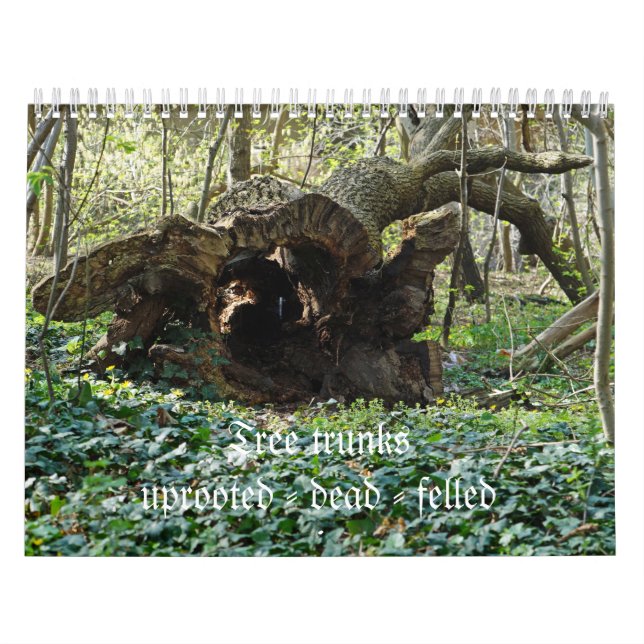 Tree trunks uprooted - dead - felled calendar (Cover)