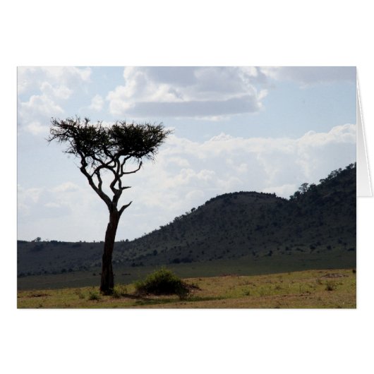 tree view (Front Horizontal)