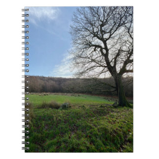 Tree view.. notebook