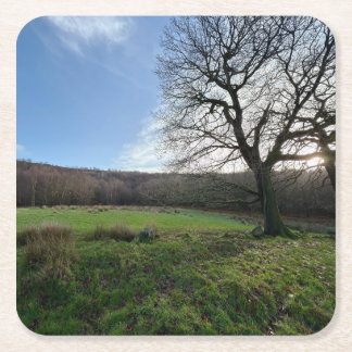 Tree view.. square paper coaster