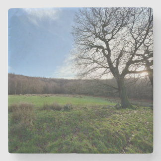 Tree view.. stone coaster