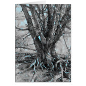 Tree Watercolor Illustration (Front)