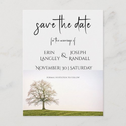 Tree Wedding Invitation Postcard