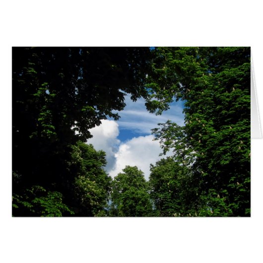 Tree window cards (Front Horizontal)