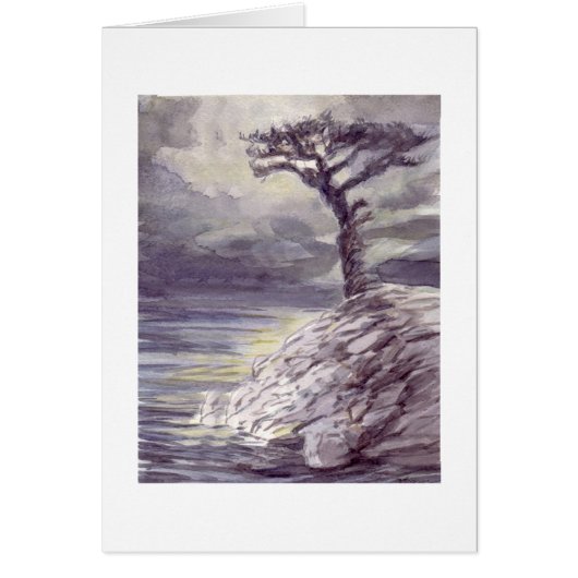Tree With  a View Cards (Front)