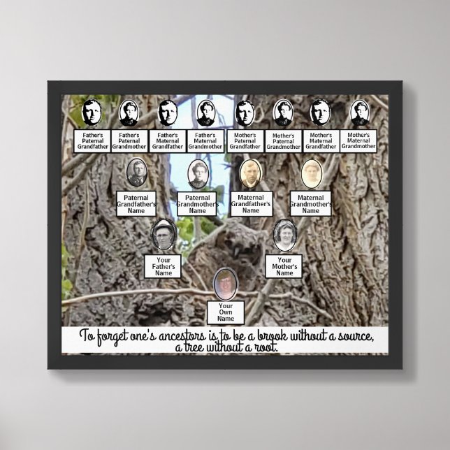 Tree with Baby Owl Photo Family Tree Poster (Framed Front)