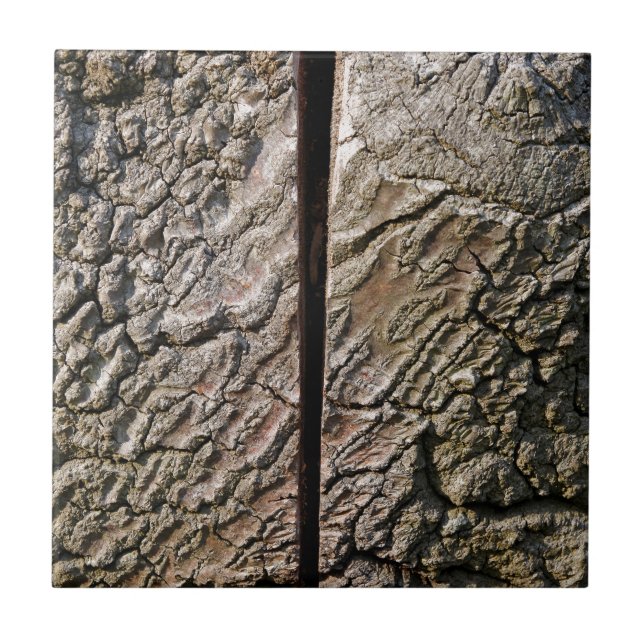 Tree with centre cut tile (Front)