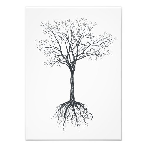 Tree without leaves photo print