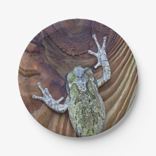 Treefrog on Cedar Fence Paper Plates