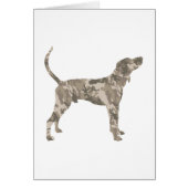 Treeing Walker Coonhound (Front)