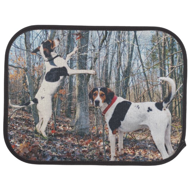 Treeing Walker Coonhound Car Mats (Rear)