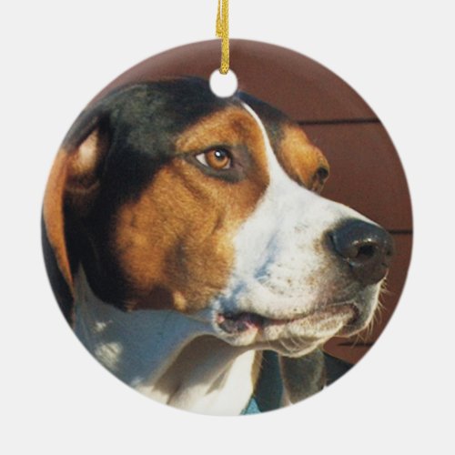 Treeing Walker Coonhound Ceramic Ornament