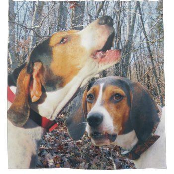 Treeing Walker Coonhound Dogs In Woods Shower Curtain by WackemArt at Zazzle