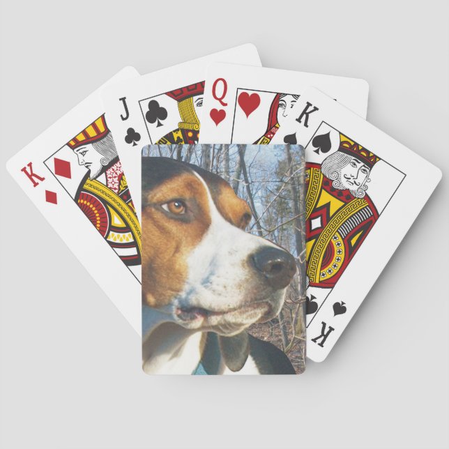Treeing Walker Coonhound In Woods Poker Cards (Back)