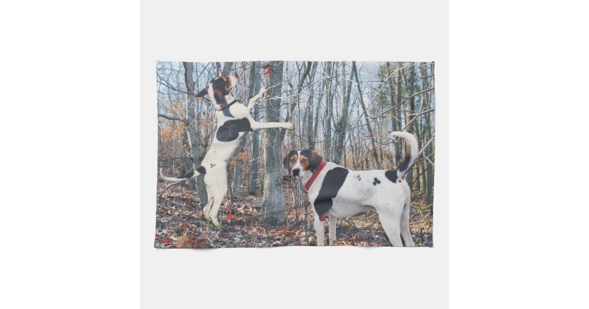 Black and Tan Coonhound Dish Towel