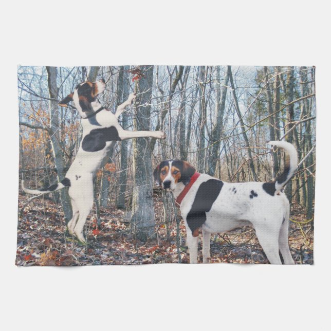 Treeing Walker Coonhound Kitchen Towel (Horizontal)