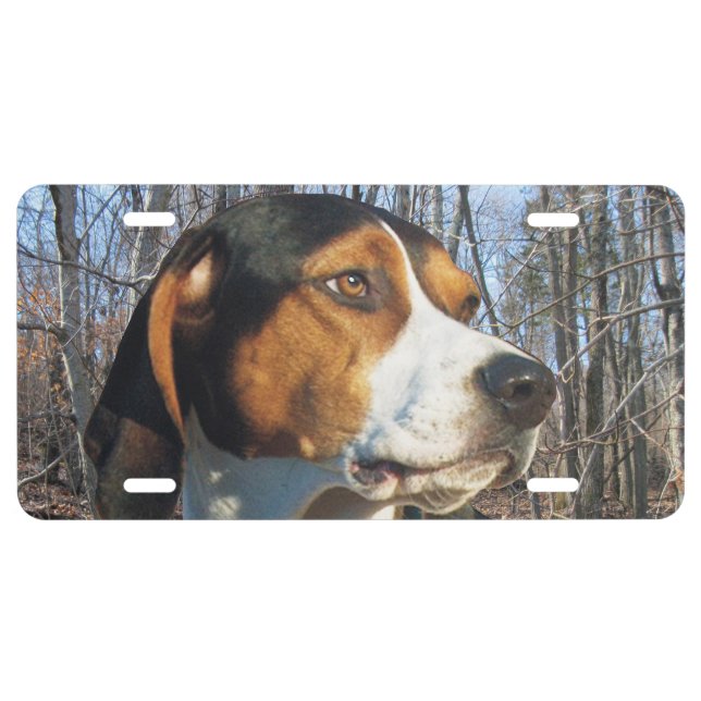 Treeing Walker Coonhound License Plate (Front)