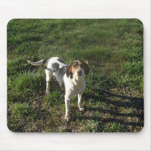 Treeing Walker Coonhound Mousepad