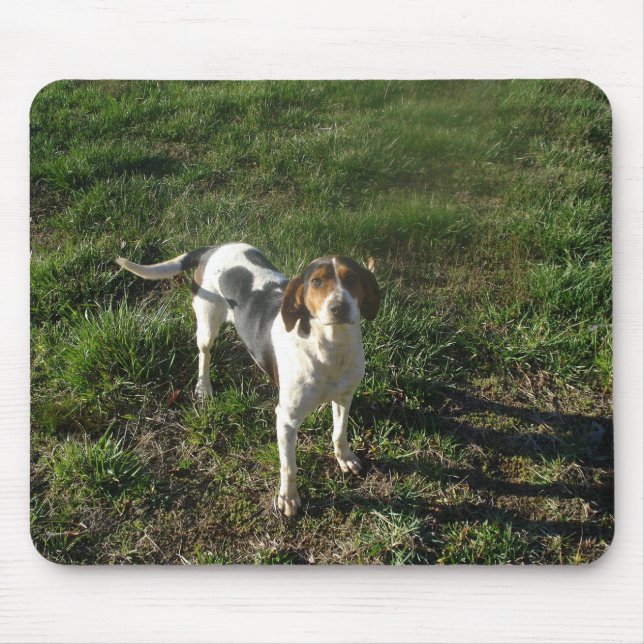 Treeing Walker Coonhound Mousepad (Front)