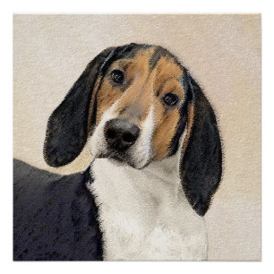 Treeing Walker Coonhound Painting - Original Art Poster