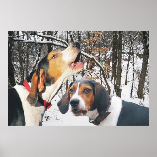 Treeing Walker Coonhound Snowy Woods Poster