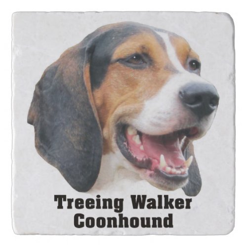 Treeing Walker Coonhound Trivet