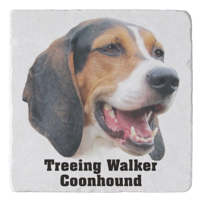 Treeing Walker Coonhound Trivet (Front)