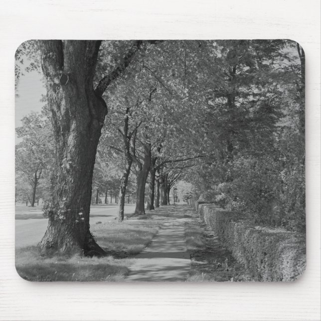 Treelined street with sidewalk mouse pad (Front)