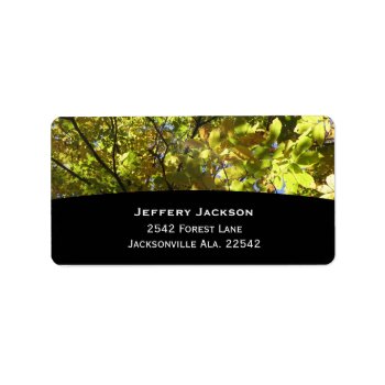 Trees Address Labels by KELLBELL535 at Zazzle