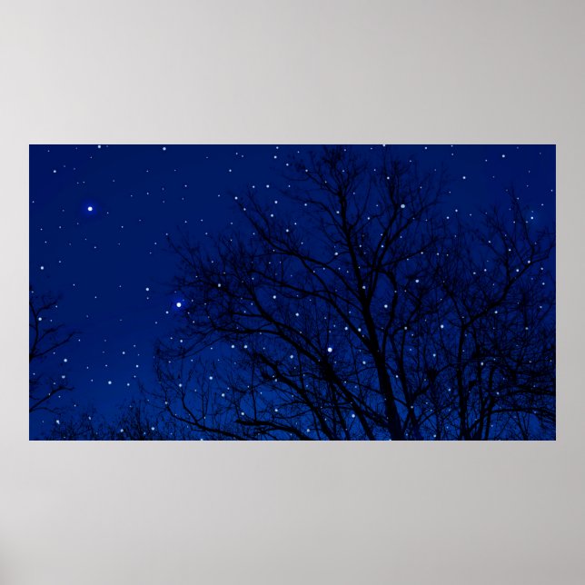 Trees against starry sky background. Trees at nigh Poster (Front)