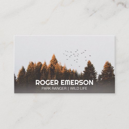 Trees and Birds  Outdoors Business Card
