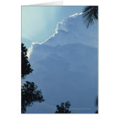 Trees and clouds (Front)