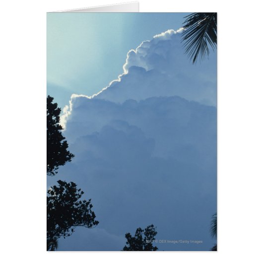 Trees and clouds cards (Front)