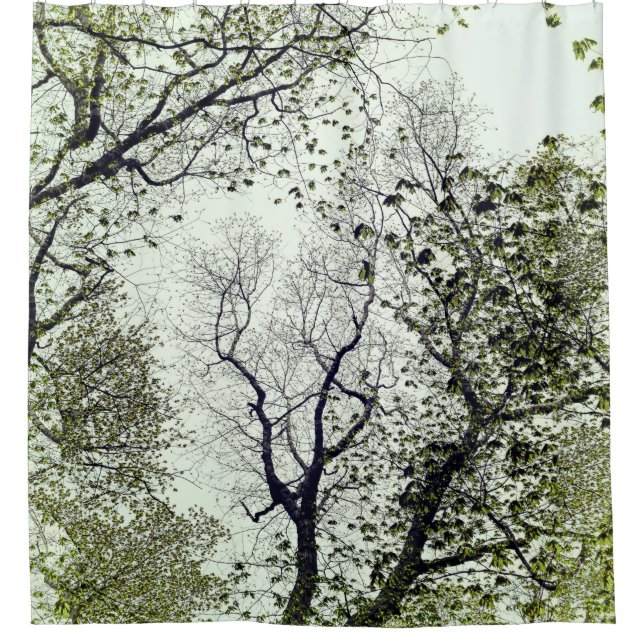 Trees and Leaves Olive and Seafoam Green Shower Curtain (Front)