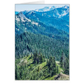 Trees and  Ridges (Front)