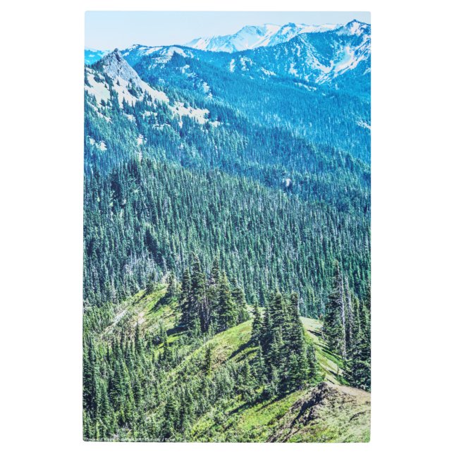 Trees and  Ridges Metal Print (Front)