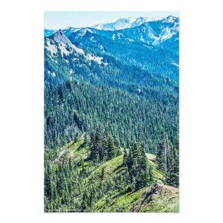 Trees and Ridges Photo Print