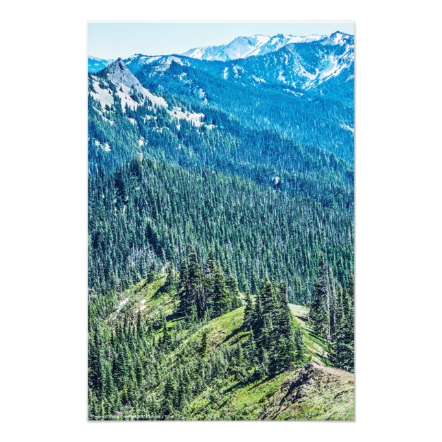 Trees and  Ridges Photo Print (Front)