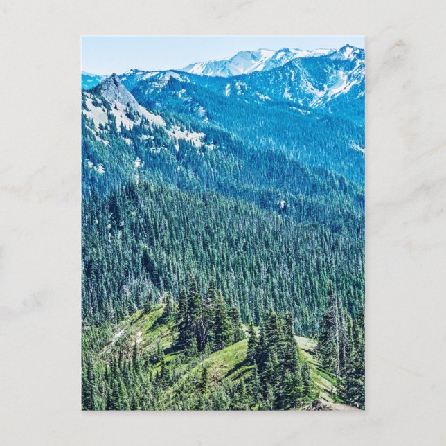 Trees and  Ridges Postcard (Front)