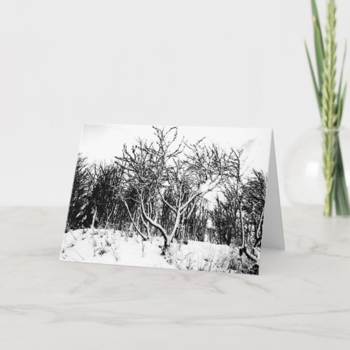 Trees and Snow Scene Black and White Holiday Card