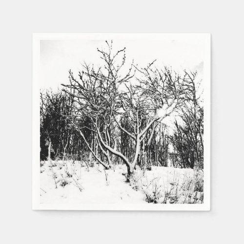 Trees and Snow Scene Black and White Paper Napkins