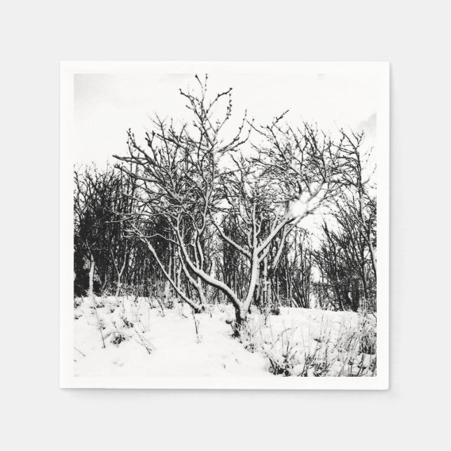 Trees and Snow Scene, Black and White Paper Napkins (Front)