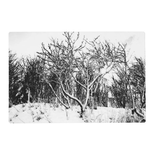 Trees and Snow Winter Scene Black and White Placemat