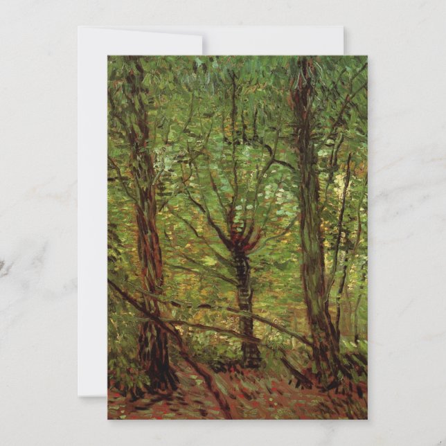 Trees and Undergrowth by Vincent van Gogh (Front)